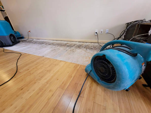 Professional Basement Flood Cleanup technician working in Simpson, NC